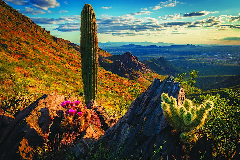 Scottsdale Arizona landscape hard money lending and real estate investment